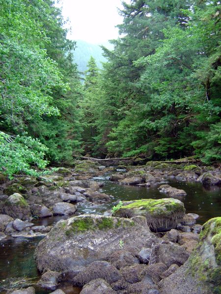 Lonely Creek